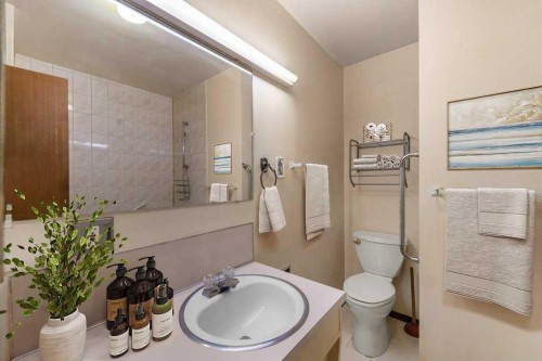 4207 Brisebois Drive Nw, Calgary, AB - Indoor Photo Showing Bathroom
