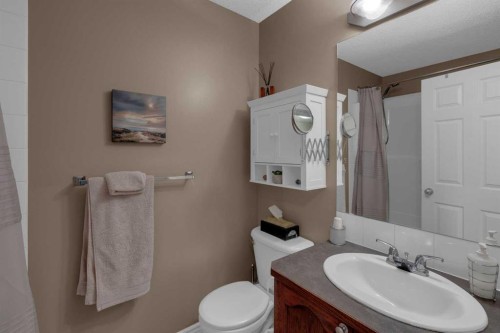 266 Canals Circle Sw, Airdrie, AB - Indoor Photo Showing Bathroom