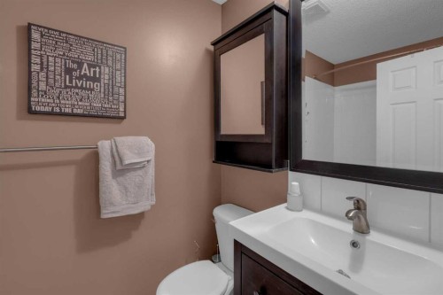 266 Canals Circle Sw, Airdrie, AB - Indoor Photo Showing Bathroom