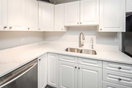 310-545 18 Avenue Sw, Calgary, AB - Indoor Photo Showing Kitchen With Double Sink