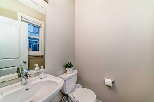 49 New Brighton Point Se, Calgary, AB - Indoor Photo Showing Bathroom