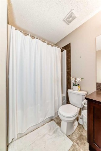 49 New Brighton Point Se, Calgary, AB - Indoor Photo Showing Bathroom