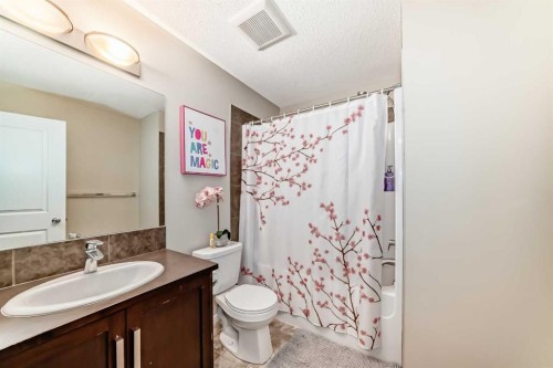 49 New Brighton Point Se, Calgary, AB - Indoor Photo Showing Bathroom