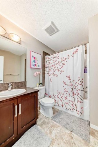 49 New Brighton Point Se, Calgary, AB - Indoor Photo Showing Bathroom