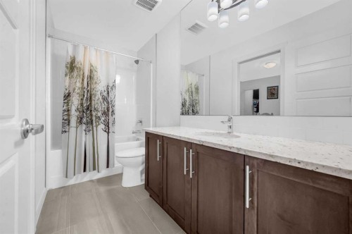 95 Redstone Heights Ne, Calgary, AB - Indoor Photo Showing Bathroom