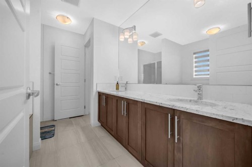 95 Redstone Heights Ne, Calgary, AB - Indoor Photo Showing Bathroom