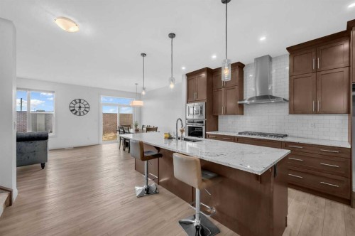 95 Redstone Heights Ne, Calgary, AB - Indoor Photo Showing Kitchen With Upgraded Kitchen
