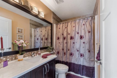 19 Saddlelake View Ne, Calgary, AB - Indoor Photo Showing Bathroom