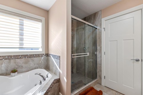 19 Saddlelake View Ne, Calgary, AB - Indoor Photo Showing Bathroom