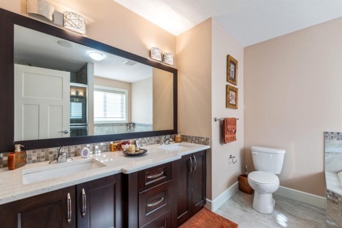 19 Saddlelake View Ne, Calgary, AB - Indoor Photo Showing Bathroom