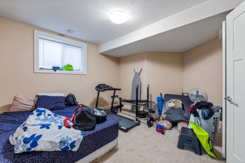 19 Saddlelake View Ne, Calgary, AB - Indoor Photo Showing Gym Room