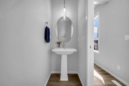 169 Dawson Drive, Chestermere, AB - Indoor Photo Showing Bathroom