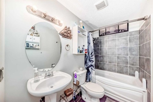 52 Castlebrook Rise Ne, Calgary, AB - Indoor Photo Showing Bathroom