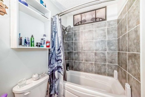 52 Castlebrook Rise Ne, Calgary, AB - Indoor Photo Showing Bathroom