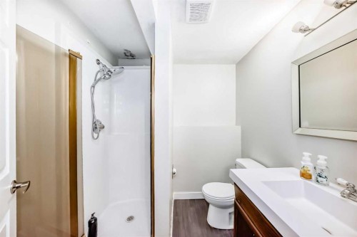 52 Castlebrook Rise Ne, Calgary, AB - Indoor Photo Showing Bathroom