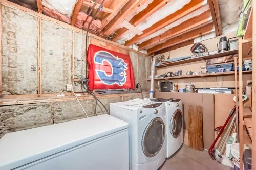 52 Castlebrook Rise Ne, Calgary, AB - Indoor Photo Showing Laundry Room