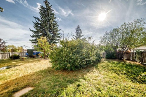 52 Castlebrook Rise Ne, Calgary, AB - Outdoor