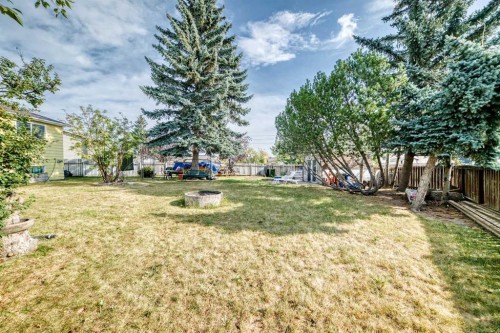 52 Castlebrook Rise Ne, Calgary, AB - Outdoor