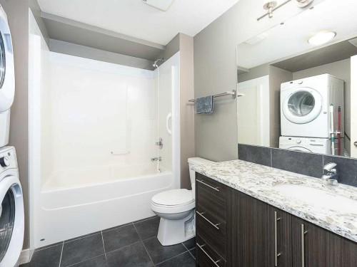 202-15207 1 Street Se, Calgary, AB - Indoor Photo Showing Laundry Room