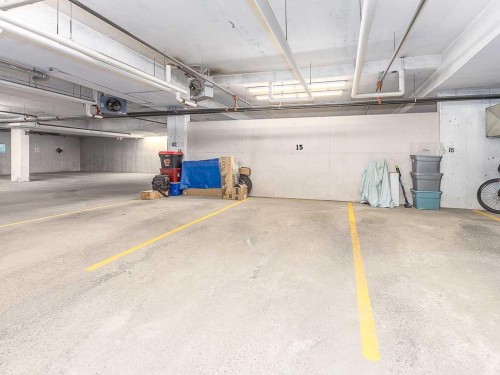 202-15207 1 Street Se, Calgary, AB - Indoor Photo Showing Garage