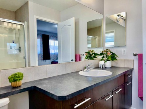 43 Bridlecrest Road Sw, Calgary, AB - Indoor Photo Showing Bathroom