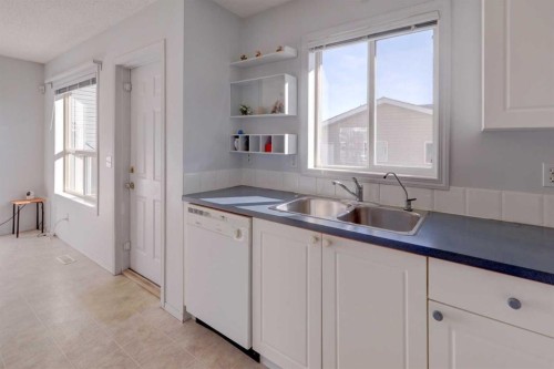 179 Saddlemead Green Ne, Calgary, AB - Indoor Photo Showing Kitchen With Double Sink