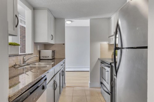 106-1123 13 Avenue Sw, Calgary, AB - Indoor Photo Showing Kitchen With Stainless Steel Kitchen With Double Sink With Upgraded Kitchen