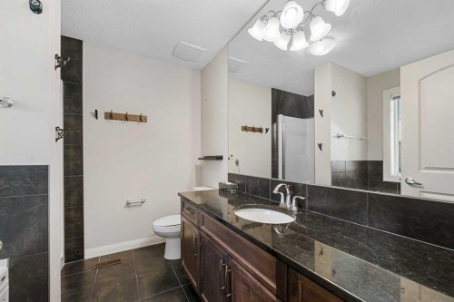 53 Redstone Villas Ne, Calgary, AB - Indoor Photo Showing Bathroom