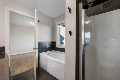 53 Redstone Villas Ne, Calgary, AB - Indoor Photo Showing Bathroom