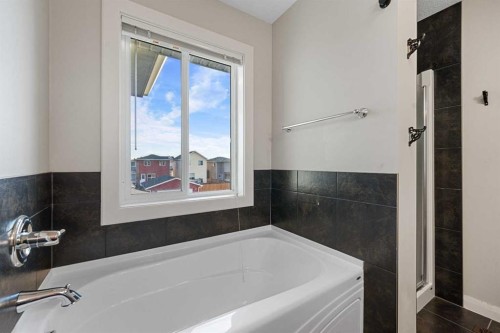53 Redstone Villas Ne, Calgary, AB - Indoor Photo Showing Bathroom