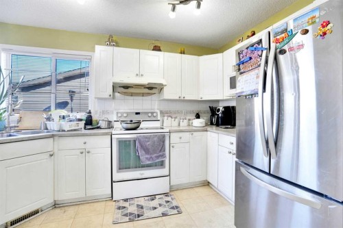 143 Taralea Gardens Ne, Calgary, AB - Indoor Photo Showing Kitchen With Double Sink