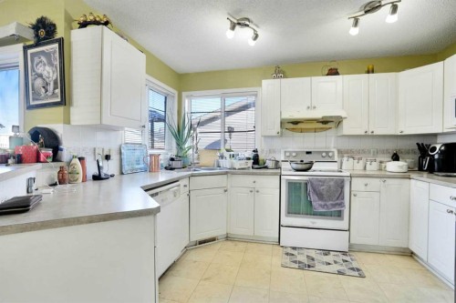143 Taralea Gardens Ne, Calgary, AB - Indoor Photo Showing Kitchen
