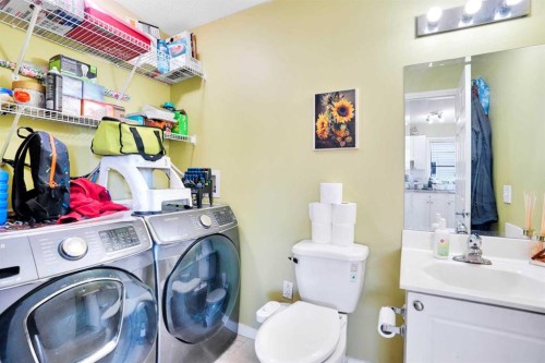 143 Taralea Gardens Ne, Calgary, AB - Indoor Photo Showing Laundry Room