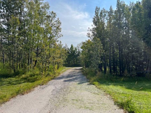 31 Williams Place, Bragg Creek, AB - Outdoor With View