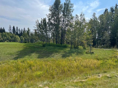 31 Williams Place, Bragg Creek, AB - Outdoor With View