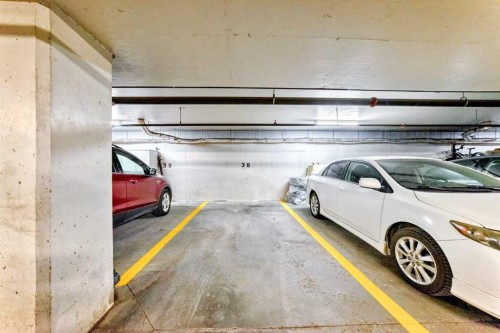 202-8 Prestwick Pond Terrace Se, Calgary, AB - Indoor Photo Showing Garage