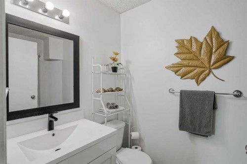 347 Whitefield Drive Ne, Calgary, AB - Indoor Photo Showing Bathroom