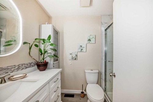 13 Brentwood Drive, Strathmore, AB - Indoor Photo Showing Bathroom
