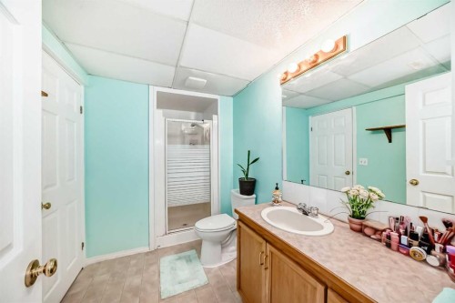 13 Brentwood Drive, Strathmore, AB - Indoor Photo Showing Bathroom