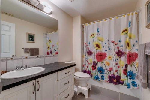 51 Spring Meadows Bay, Okotoks, AB - Indoor Photo Showing Bathroom