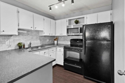 205-1001 68 Avenue Sw, Calgary, AB - Indoor Photo Showing Kitchen With Double Sink