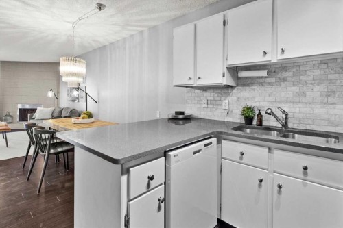 205-1001 68 Avenue Sw, Calgary, AB - Indoor Photo Showing Kitchen With Double Sink