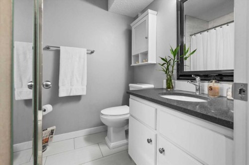 205-1001 68 Avenue Sw, Calgary, AB - Indoor Photo Showing Bathroom