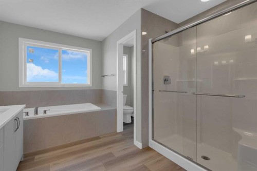 69 Silver Spruce Road Sw, Calgary, AB - Indoor Photo Showing Bathroom