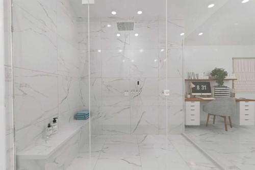 254 Erin Woods Circle Se, Calgary, AB - Indoor Photo Showing Bathroom