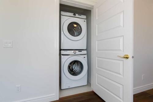 209-414 Seton Passage Se, Calgary, AB - Indoor Photo Showing Laundry Room