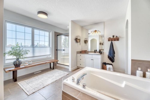 47 Cranleigh Green Se, Calgary, AB - Indoor Photo Showing Bathroom