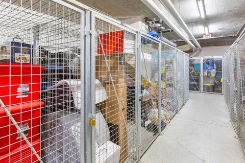 1403-99 Spruce Place Sw, Calgary, AB - Indoor With Storage