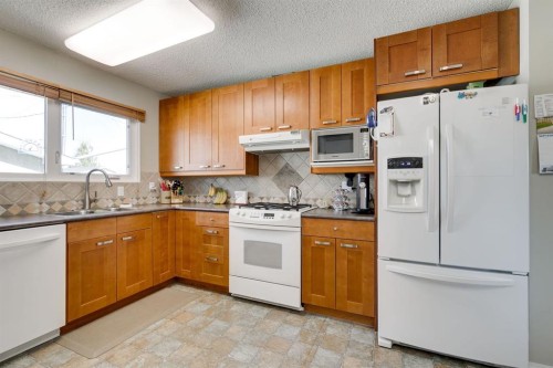 360 Malvern Close Ne, Calgary, AB - Indoor Photo Showing Kitchen With Double Sink