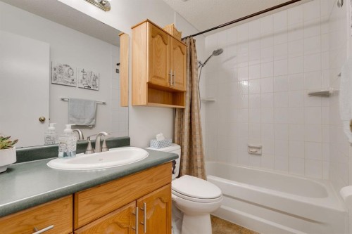 360 Malvern Close Ne, Calgary, AB - Indoor Photo Showing Bathroom